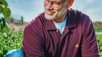 micronutrientes plantas