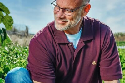 micronutrientes plantas